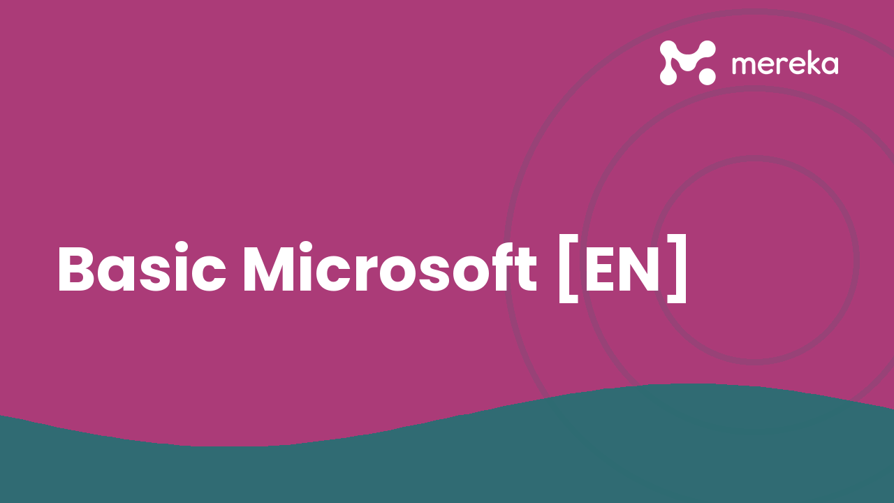 Basic Microsoft [EN]